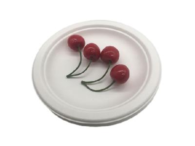 Do bagaço Microwavable do partido de 6 polegadas placas descartáveis