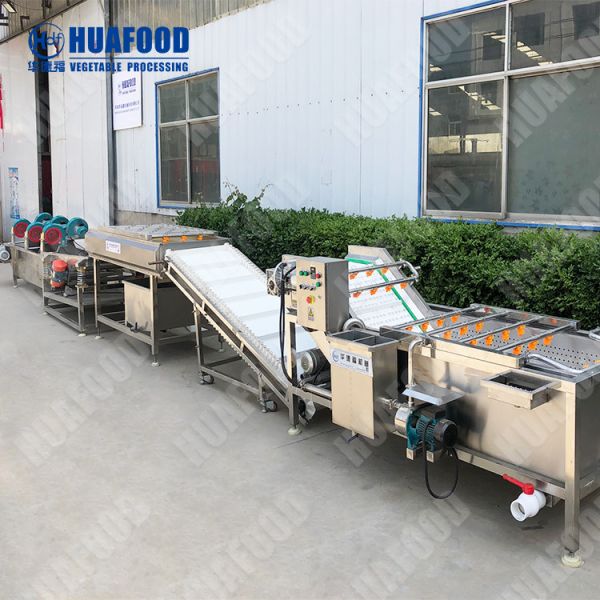 Industrial Mushroom Air Bubble Washing Machine Tomato Paste Making Process Machine Clean Vegetable Processing