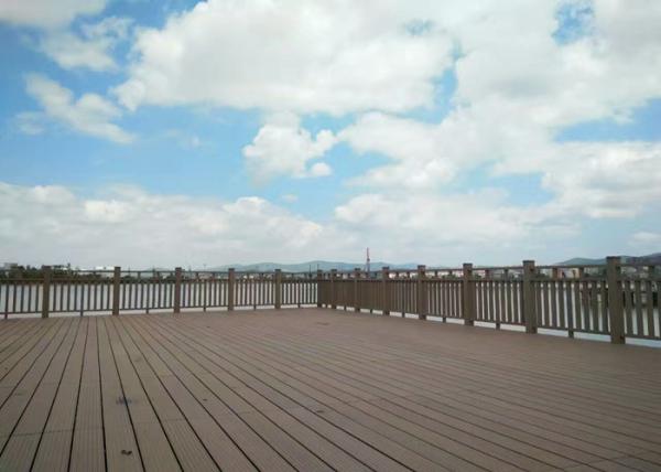 WPC - Wood Plastic Composite Hollow & Solid Decking Flooring Board