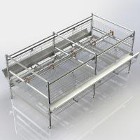 Économique professionnel de production d'oeufs de poulet de cage automatique de volaille