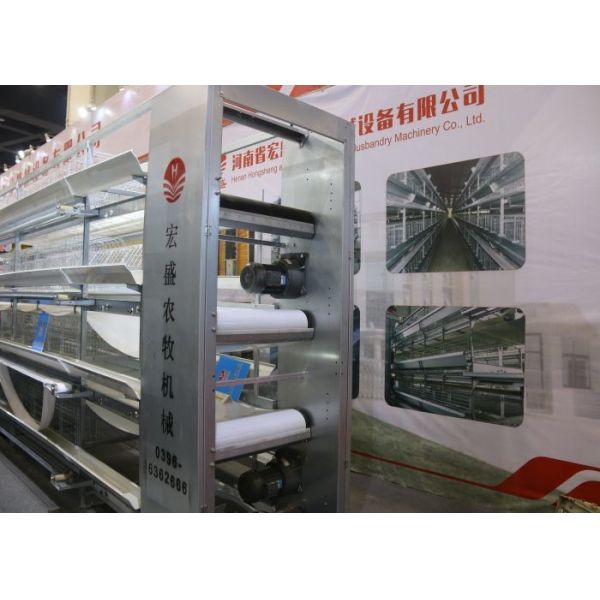 Energy Saving Chicken Farm Poultry Equipment Safety For Manure Removal