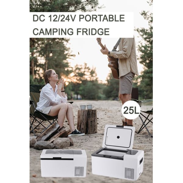 25L портативная автомобильная и домашняя мини холодильник изоляция C5H10/C-Pentane белый с светодиодным светом