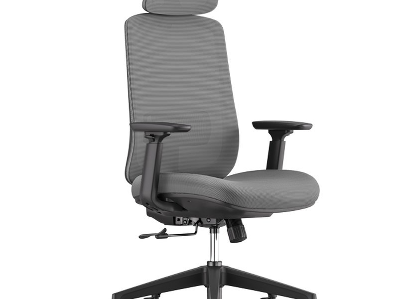 Otto Task Chair with Lumbar Support Adjustable Headrest and Armrests for Ergonomic Office Comfort