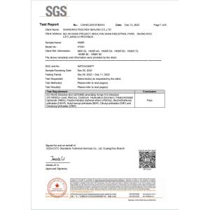 Dongguan Ruichen Sealing Co., Ltd. Сертификации