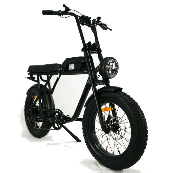 73 eBike Fat Tire Electric Bike E Bicycle with Range per Power 31 60 km and Disc Brake