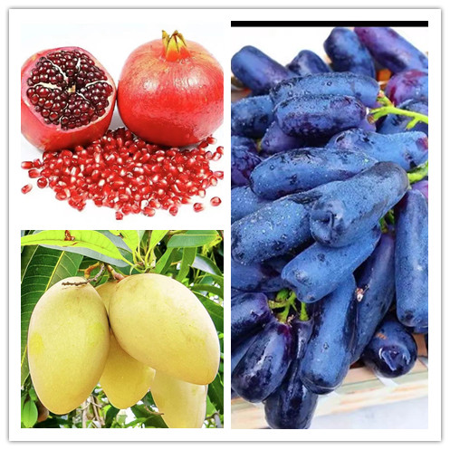 Acides aminés agricoles d'acides aminés d'acides aminés d'azote organique solubles dans l'eau de 50%