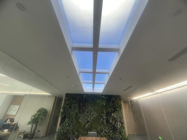 Rectangle Faux Skylight Panels 220mm Highness Customizable Solutions