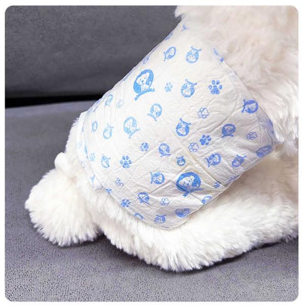 Des couches pour animaux de compagnie Starhong - Grandes tailles, absorption supérieure, tissu non tissé