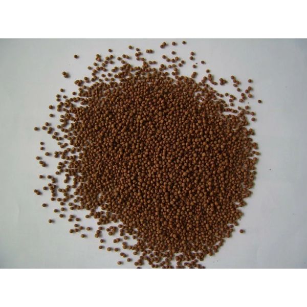 СЛГ 65-ИИИ сушат собачью еду делая машиной двойной штрангпресс винта 500-600 Кг/х