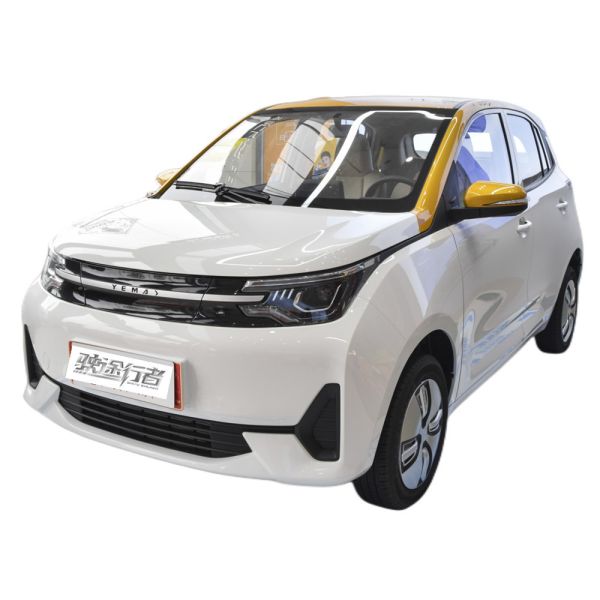 2022 Adults Levdeo Mango Energy Vehicles Letin Mango EV Electric Car with