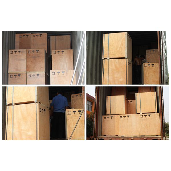 Вакуумный насос 12pcs/H устрашает доя машину с ведром 25L