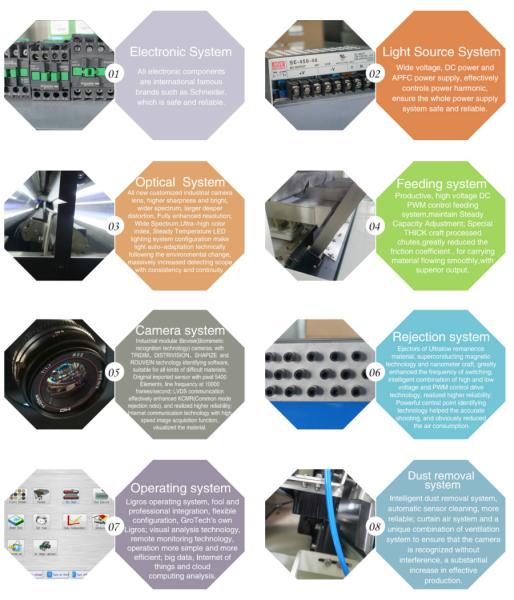 Bean Optical Sorting Machine Intelligent CCD bean color sorter machine