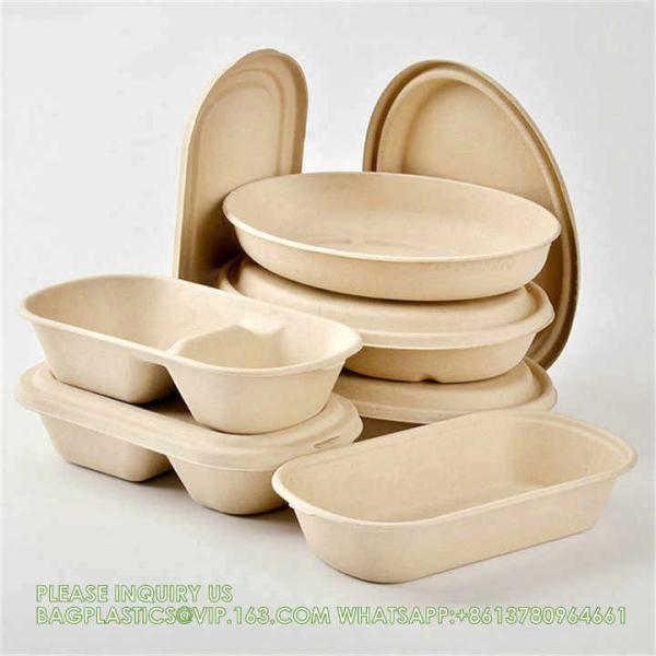 Wholesale Sugarcane Bagasse Pulp Lunch Box Takeaway Food Container Diaposiable Recyclable Sugarcane Packaging Box