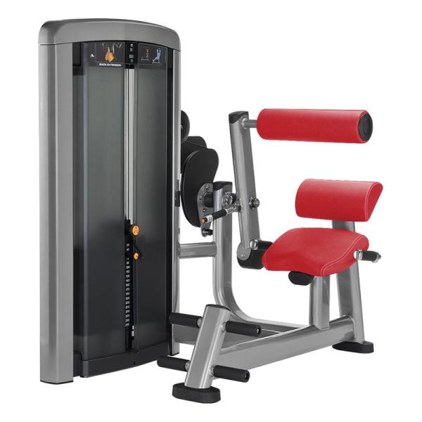 O gás da máquina do exercício da extensão da parte traseira do ajuste nivelado ajudou à mola segura
