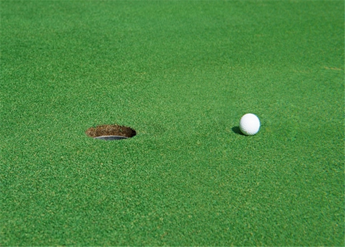 PE Monofilament Curly Yarn Golf Artificial Grass Carpet For Indoor or Outdoor