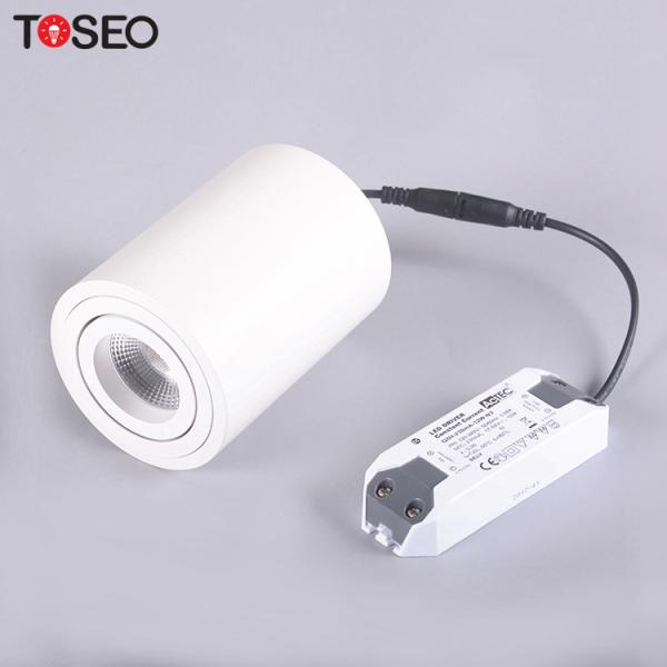 Wattagem do diodo emissor de luz Downlights 10 de CRI90 92mm Dimmable para a sala de reunião