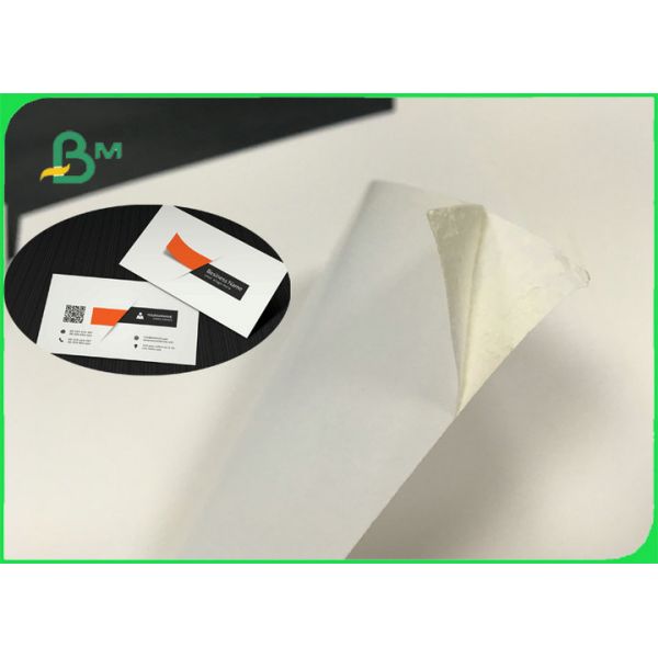 High Bulk Ecofriendly GC1 FBB Ivory Board Paper For Box Packing 250gsm - 300gsm