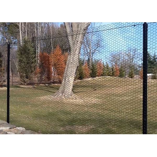 Metal Hexagrid Fencing, Hexagonal Mesh , 6 X 150 Feet