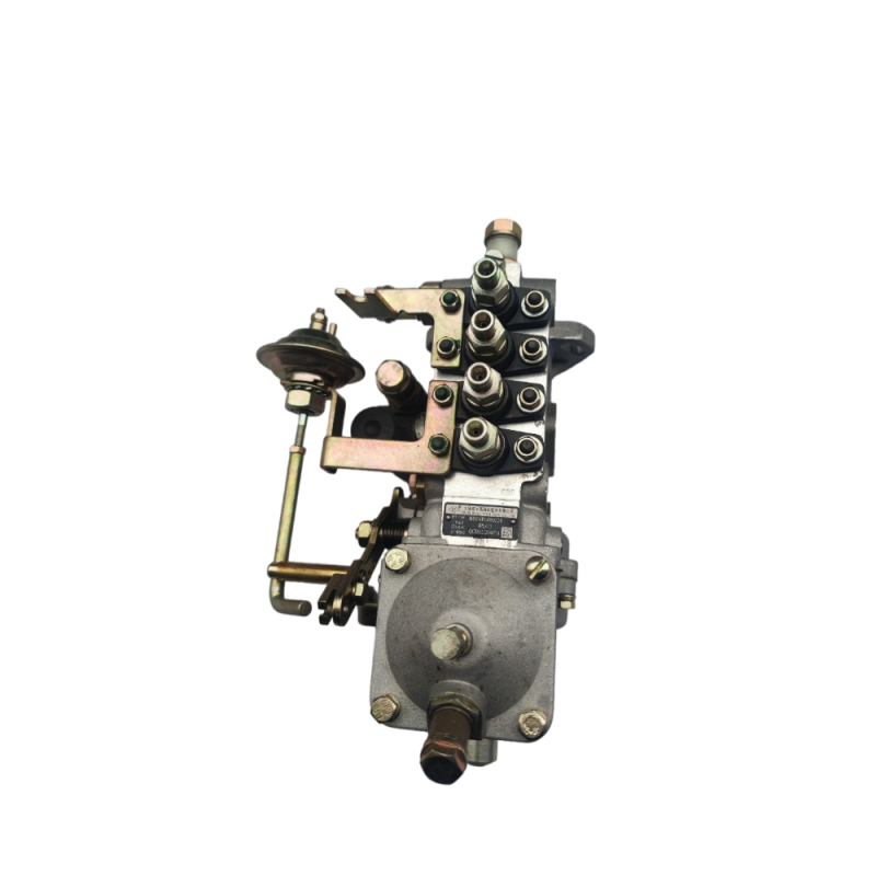 New High Quality Auto Parts for Anhui Quanchai Diesel Engine Fuel Injection Pump N490ZLQ
