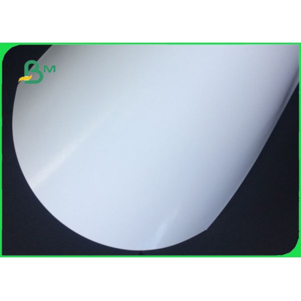 210gsm 250gsm 300gsm High density White SBB Paperboard For paper cup