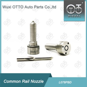 Delphi Common Rail Nozzle