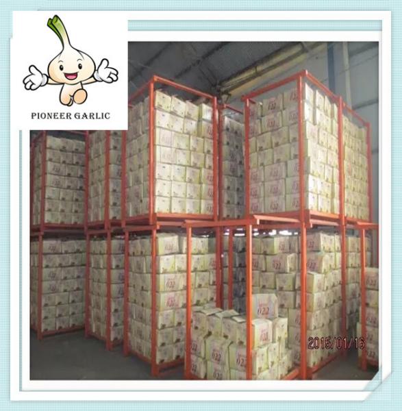 High quality garlic wholesale garlic 2016 Natural Fresh white garlic wholesales