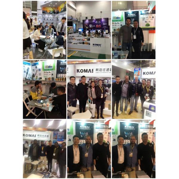 High Quality Excavator Oil Filter P502390 VH15601E0070 WCO108 156072281 SO6186 For Excavator