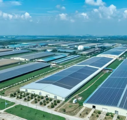Modern Steel Poultry House Designs for Eco-Friendly Farming Solutions
