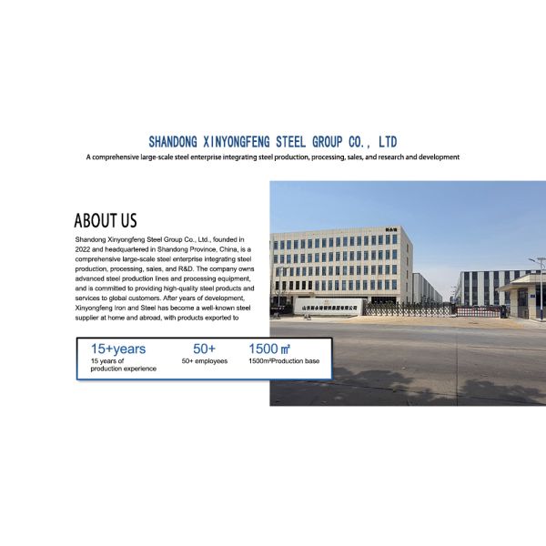 Expandable Steel Structure Building with Q345 and Q235 Steel for Customized Industrial Workshops