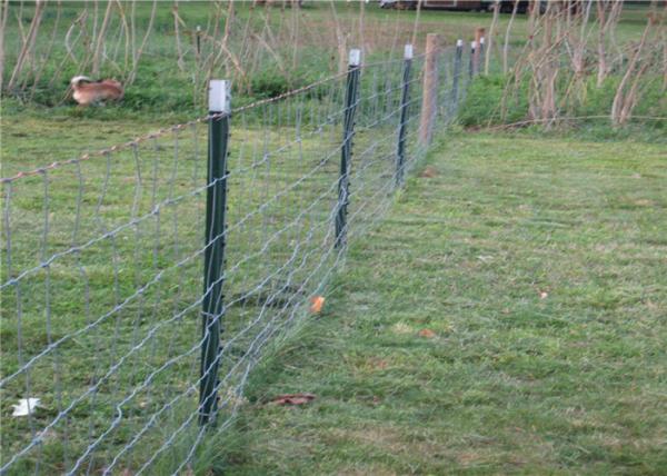 Training Center Chain Link Fence Outdoor Area