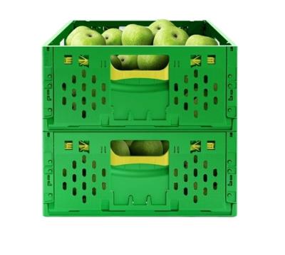 Caixa de vegetais dobrável de plástico virgem para transporte de frutas