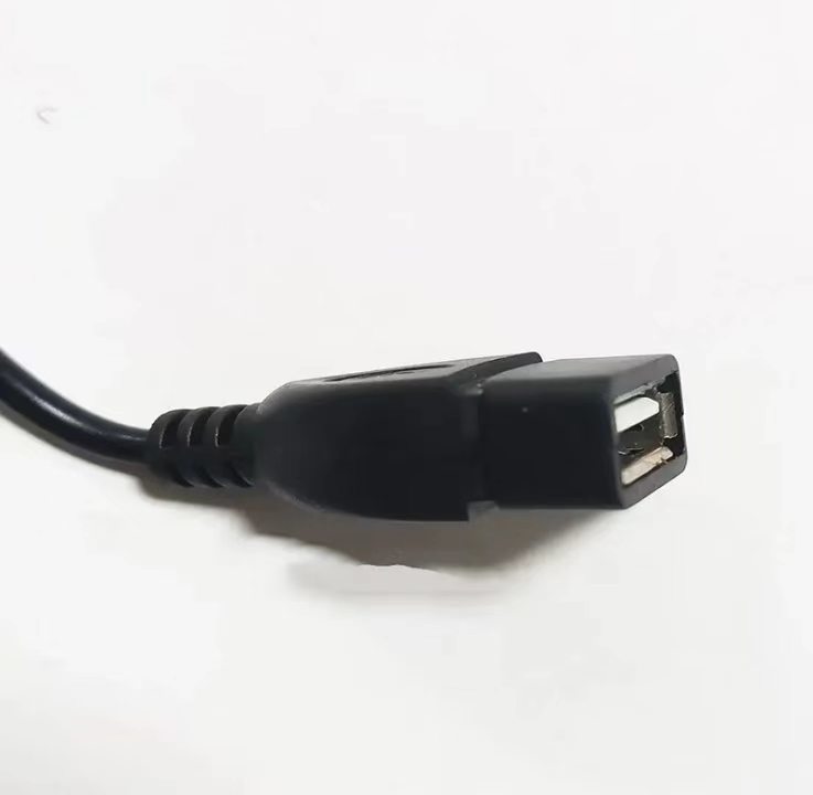 2AA battery pack with lid, switch, and USB plug