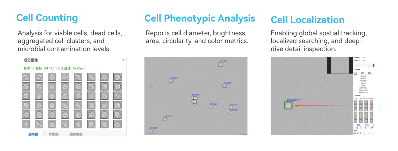 BC1600-Auto/Lite VPS Lensless Cell Imaging Analyzer for High-throughput Viability