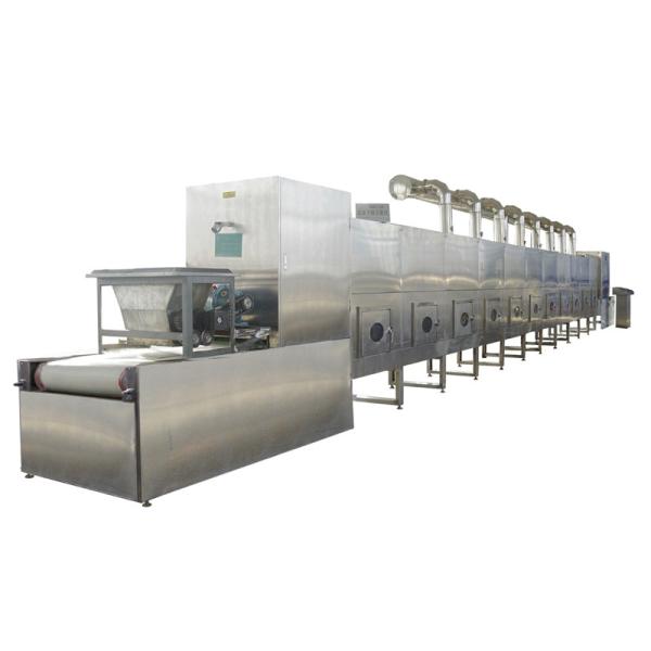 SGS Oatmeal Curing Industrial Microwave Sterilization Machine Drying Equipments ODM