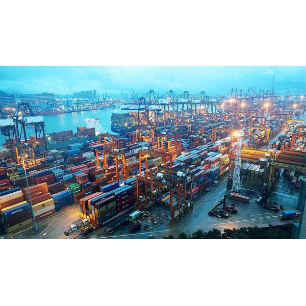 Pesée précise des animaux de 500 g sur les fermes Échelle de bétail avec clôture et support OEM personnalisé