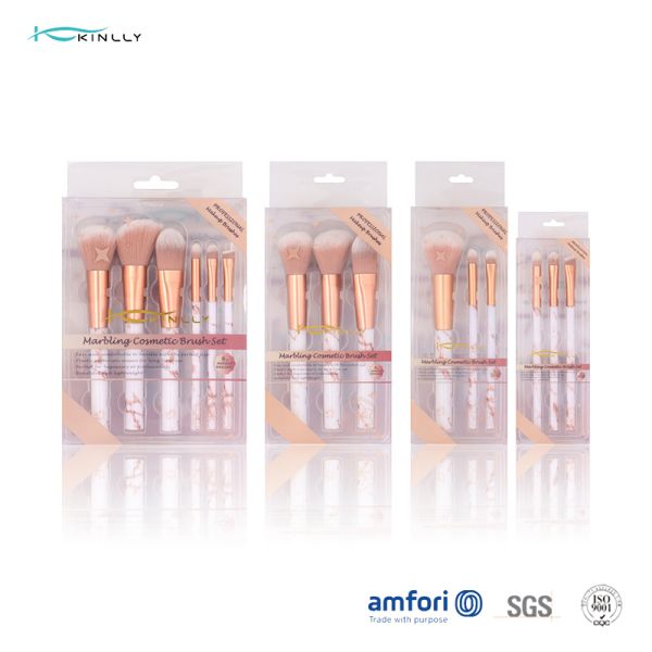 Sistema de cepillo plástico del maquillaje del viaje de la manija de Kinlly 6pcs para el cosmético