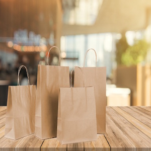 Paper Carrier Bag, Gift Packaging Carrie Shopping Paper Bag, Birthday Wedding Christmas, Festive Celebrations