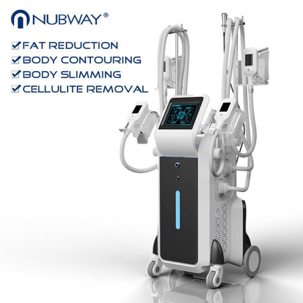 Best selling 4 different size handles Cryolipolysis work together with amazing result