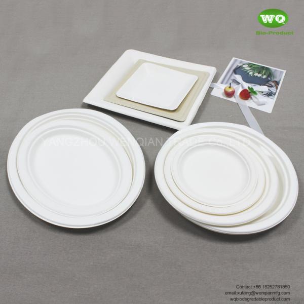 10/12 Inch biodegradable sugarcane Oval Plate-Wholesale Water-proof bagasse plate-Natural friendly pulp tableware