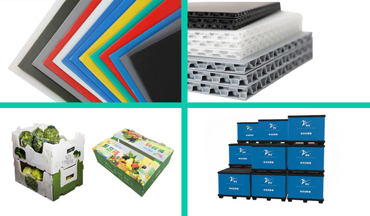 Коробка Recyclable сота полистироля упаковывая без крышки