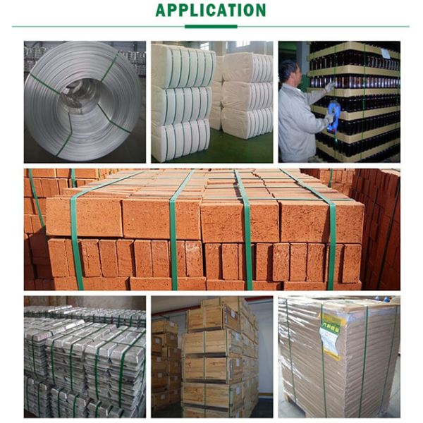 Pet Strapping Band Making Machine Pet Packing Belt Extrusion Machine Pet Packing Strip Production Line