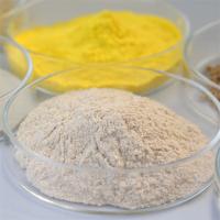 Enzyme hydrolyse peptide enzyme industrielle