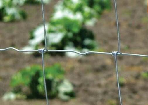 Electric Galvanized Iron 0.5m Farm Fencing Wire Mesh For Livestocks