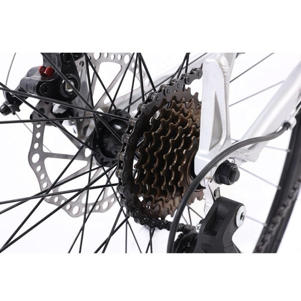 Customization Road Bike with Aluminum Alloy Frame and Disc Brake System 700C Mountainbike
