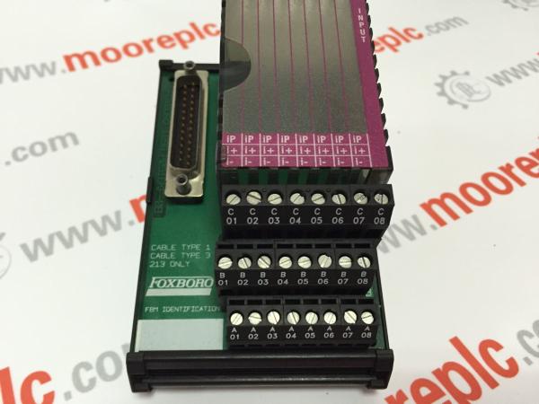 石油化学製品のためのフォクスバロDCS FBM204入力/出力のインタフェース・モジュール0-20MA