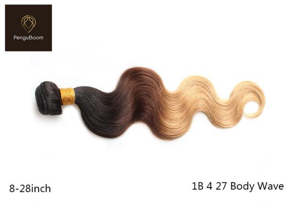 1b 4 27 BW Colored Human Hair Bundles