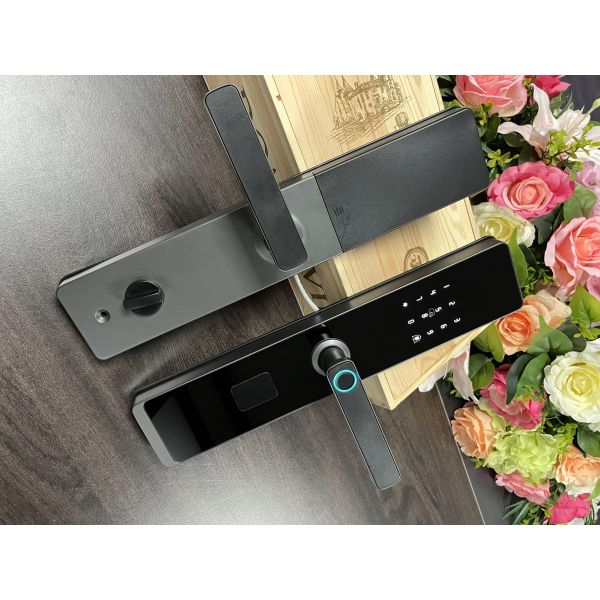 Home Security Tuya Smart Fingerprint & Key Lock with WiFi for Home System