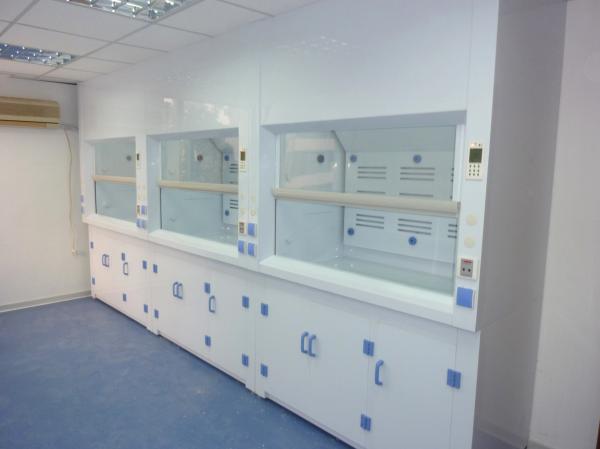 White / Blue Lab Fume Cupboard Low Noise For Chemical Research Institution