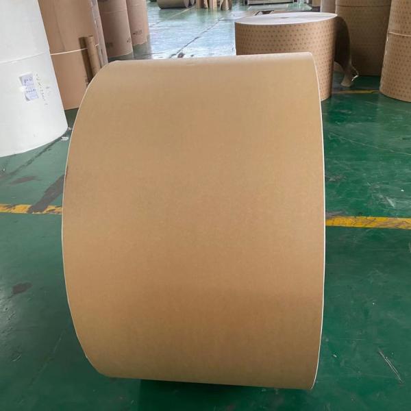 O PE de um Flexo de 210 gramas revestiu o papel no rolo