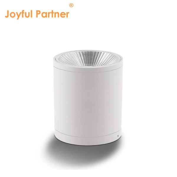 15W COB LED Downlight Cylinder DIA110MM Screw Fix Extruded Aluminum Alloy Housing For Outdoor Application